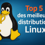 top_5_distributions_linux